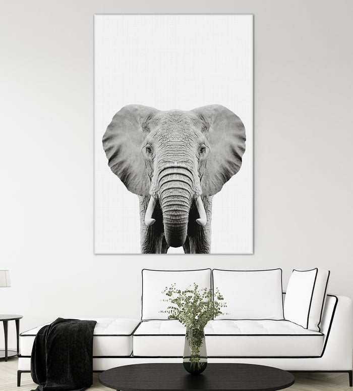 Elephant Portrait by Justinas Jokubauskas on GIANT ART - black photo manipulation