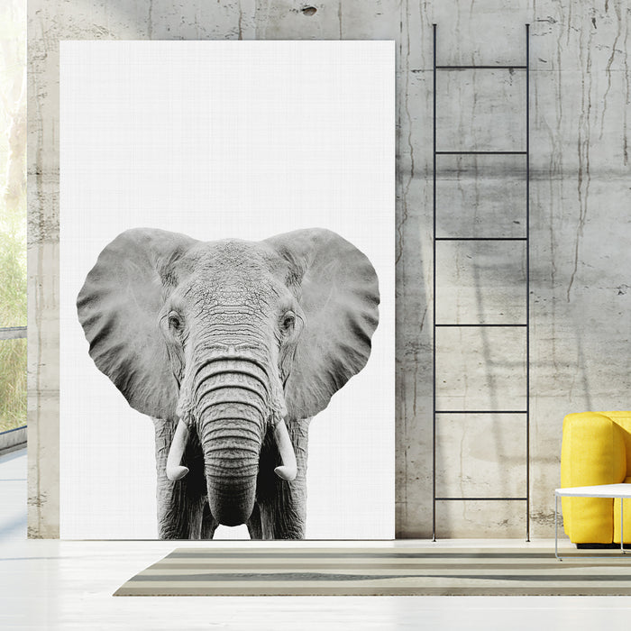 Elephant Portrait by Justinas Jokubauskas on GIANT ART - black photo manipulation