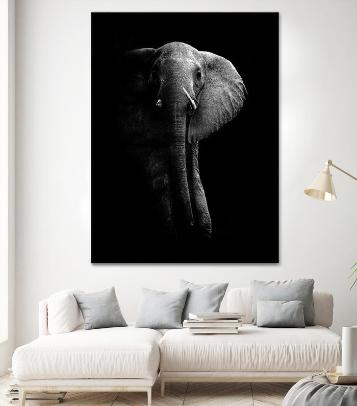 Elephant! by WildPhotoArt on GIANT ART - white black&white nature