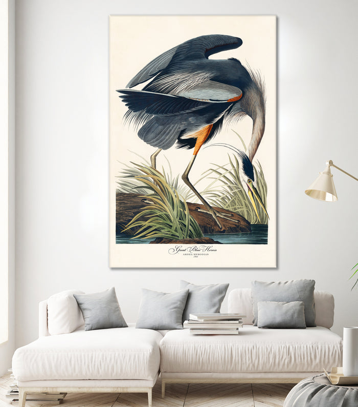 Great Blue Heron by John James Audubon on GIANT ART - green botanical nature
