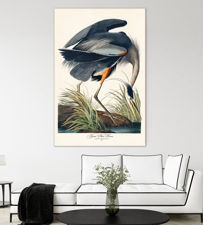Great Blue Heron by John James Audubon on GIANT ART - green botanical nature
