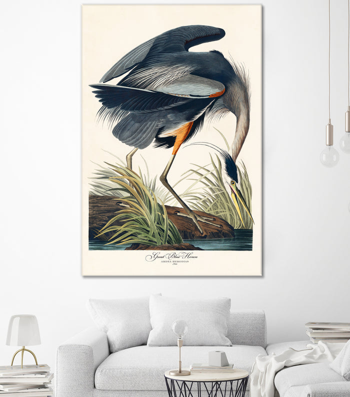 Great Blue Heron by John James Audubon on GIANT ART - green botanical nature