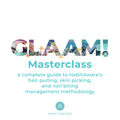 HabitAware's Mindset Masterclass