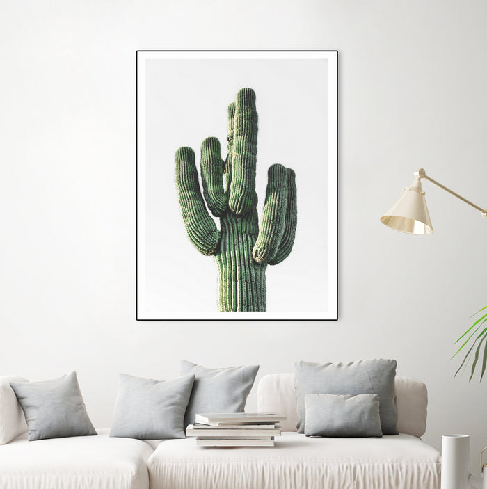Le Cactus by Clicart Studio on GIANT ART