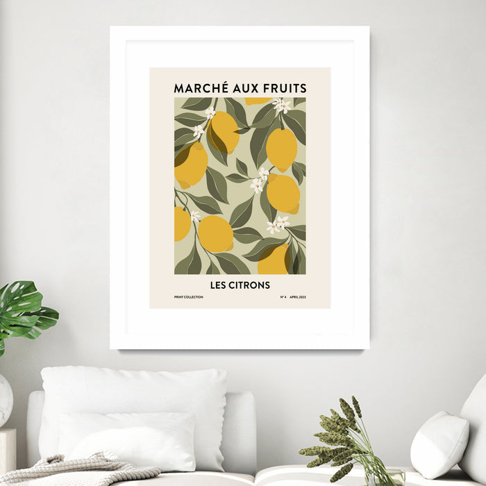 Matted and Framed White / 20 x 24 inches
