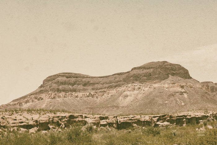 Mountainous III by Nathan Larson on GIANT ART - brown