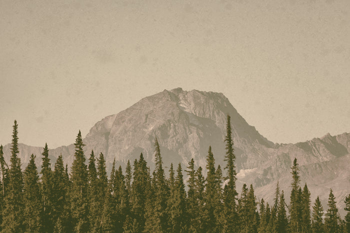 Mountainous IV by Nathan Larson on GIANT ART - brown