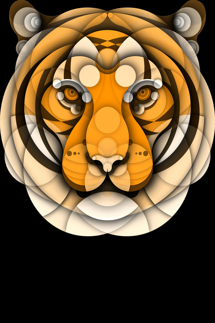 Tiger by Bruno Silva on GIANT ART - orange digital drawing